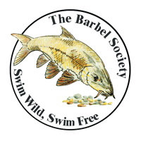 BS-Fish-Logo.gif