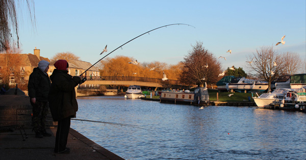 Action for Lydia at Ely; it was great to see the river in shape and the fish feeding