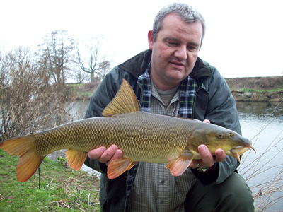 Stunningly beautiful...yes, the fish!