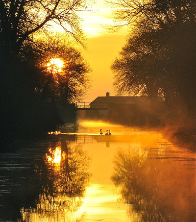 A golden wonderland on the Grand Western