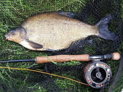 A fly caught bream by 2013 Fly For Coarse winner Geoff Hadley