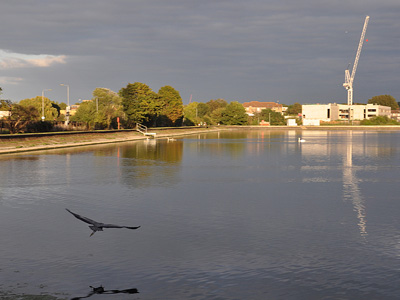 From specimen sized coarse fish to brown and rainbow trout, Walthamstow Reservoirs offer excellent fishing.