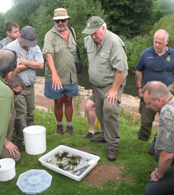 Pete Reading and Dave Mason talk invertebrates!