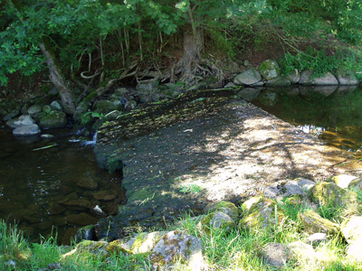 The Morland Beck before the improvements shown above...