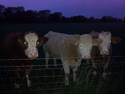 I had an audience watching my every cast in anticipation of a barbel master class 