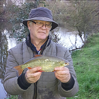 About 3pm I finally started to get some of the better roach that the river holds 