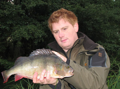 GMchrainbowperch.jpg