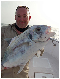 A very angry pompano