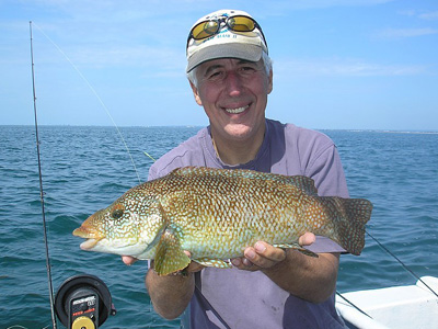 My best wrasse by some way. Definitely a fish that should be reserved for recreational fishing.