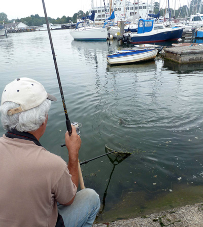 Mullet can take an age to come to the net and usually bolt off several times before succumbing