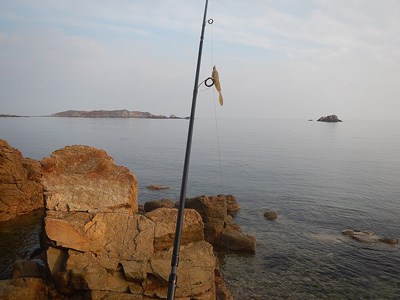  The Sonik Travel Rod -rigged and ready in a minutes – and tough enough to keep the decent wrasse out of the rocks