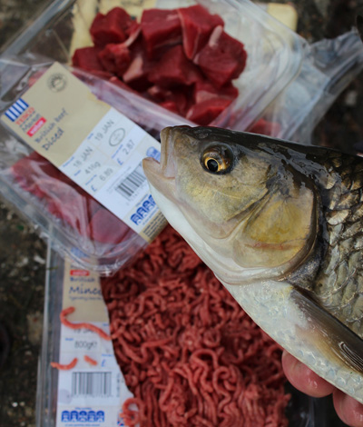 Steak and mince - a brilliant way to catch chub