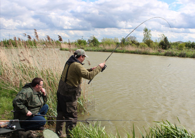 They go a bit those stillwater barbel