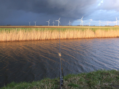 Back on the Fens for Zander