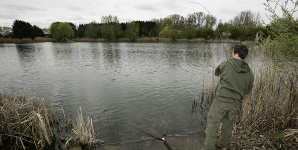 Playing a carp hooked on a zig rig