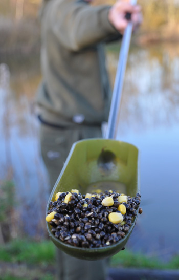 Hemp and corn perfect for priming spots