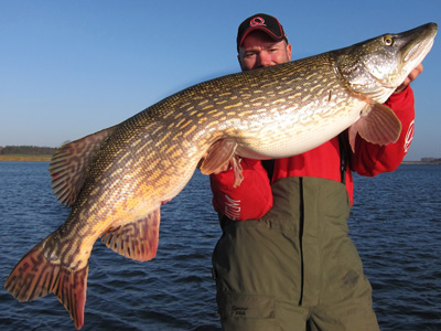 Tester Lars Vormelker with a big pike