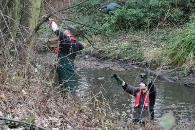 Members clearing overhanging branches 