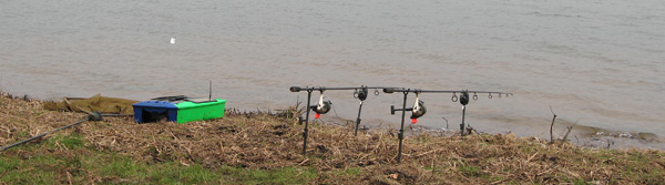 Eventually I had the biggest herring I had with me, which only just fitted the hopper of the bait-boat, positioned out somewhere I was happy with 