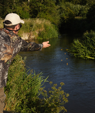 Who has been baiting 'your' swim?