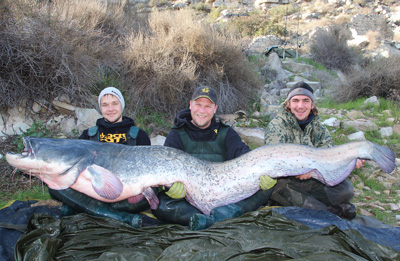 Erik Klietsch (L), Benjamin Gruender and Stefan Seuss (R) with a 91kg fish