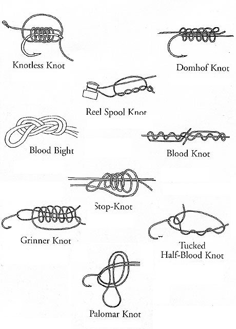 Note that the hook in the Palomar knot should pass through the large loop 