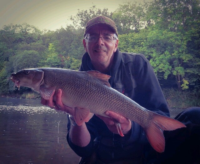 Barbel-640x525.jpg