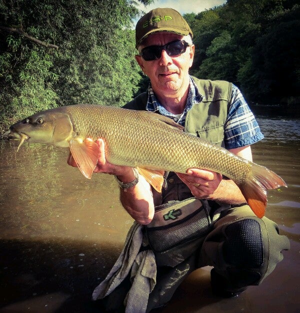 Barbel5-600x626.jpg