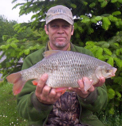 3lb 11oz roach