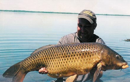 41lb_carp