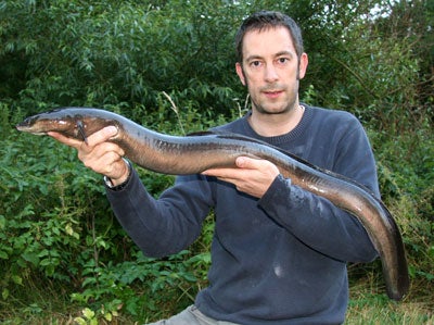 Then Andy makes it a big brace with this 7.4 specimen