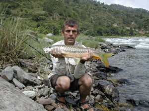 Golden Mahseer, Ramganga River, Uttranchal