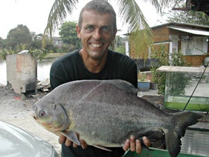 14lb Pacu