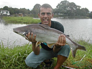 15lb Patin