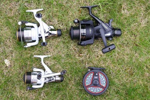 Reels