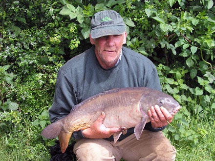 The stranger in the camp, 18lb mirror carp