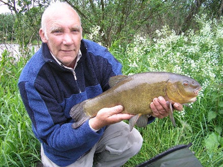 At last, an 8lb 7oz female tench