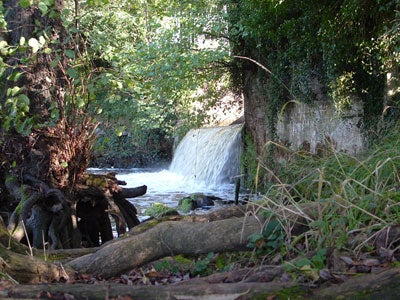 Medway Weir