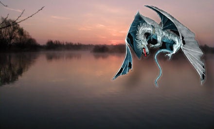 Dragons swim