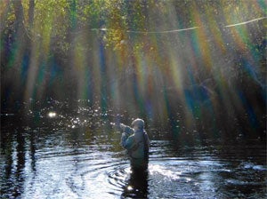 fly fishing