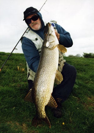 Big Trent pike on spinnerbait