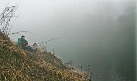 The Ribble in winter