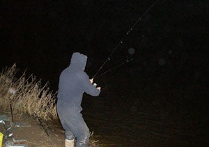 Playing a winter barbel