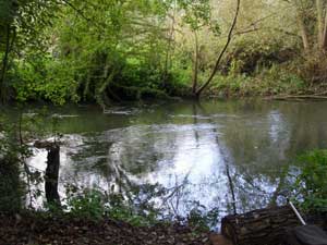 The Kennet