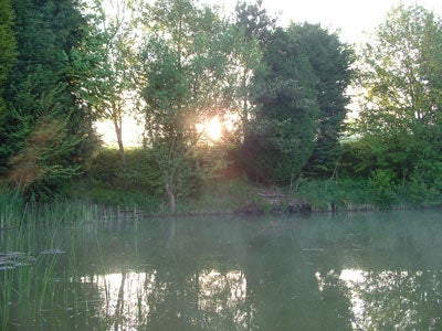 the lake at dawn