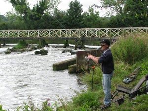 Kennet auction day