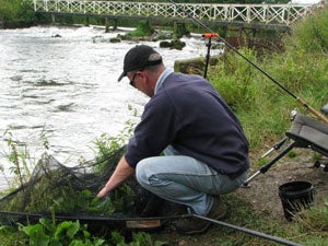 Kennet auction day