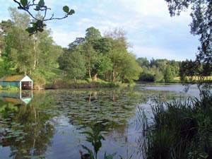 Holehird Tarn