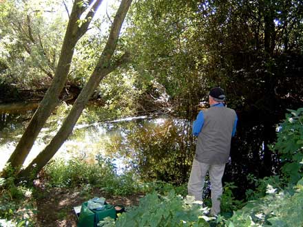 Fishing the Mini float rod in a tight swim