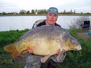 Wayne, 54lb